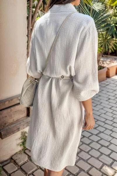 Button Up Collared Neck Shirt Dress