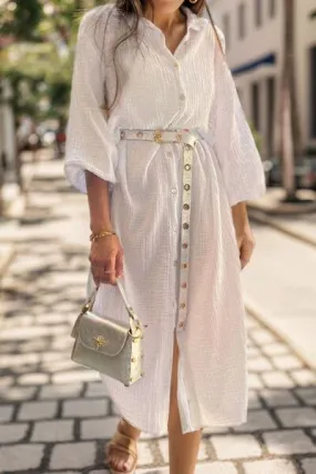 Button Up Collared Neck Shirt Dress