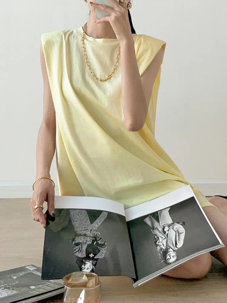 Casual Loose Mini Dress For Women Round Neck Sleeveless Solid Minimalist Dresses Female Korean Fashion Clothing