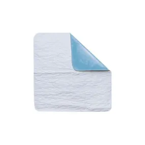 Essentials Reusable Wheelchair 18" x 18" Pad Pack of 2