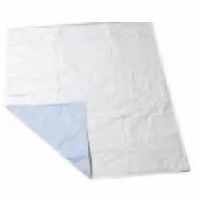 Underpad CareFor Economy 36 X 72 Inch Reusable Polyester / Rayon Moderate Absorbency Count of 1 By Salk